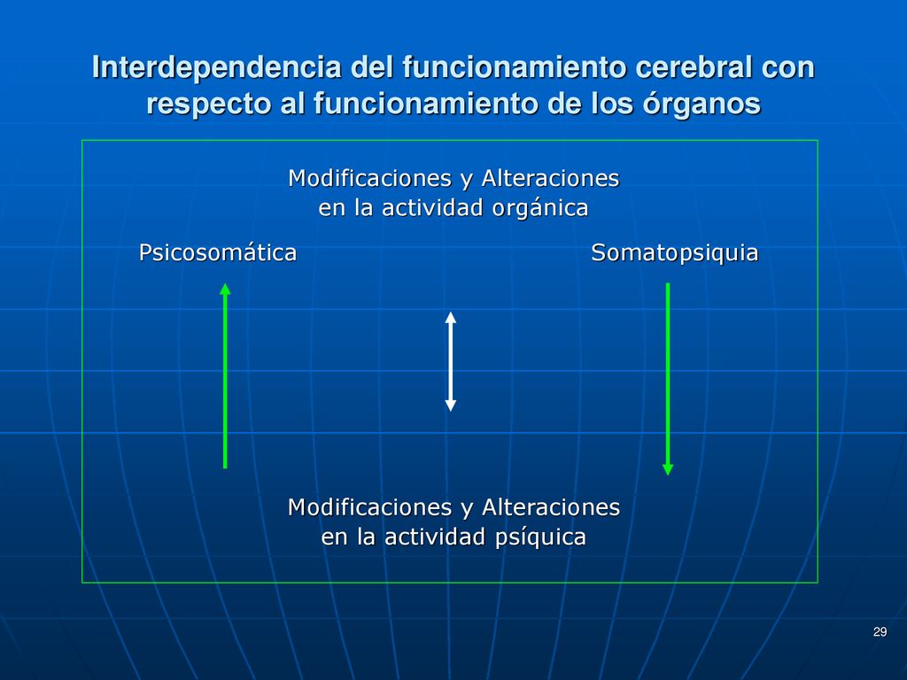 Interdependencia del funcionamiento cerebral con respecto al funcionamiento de los órganos