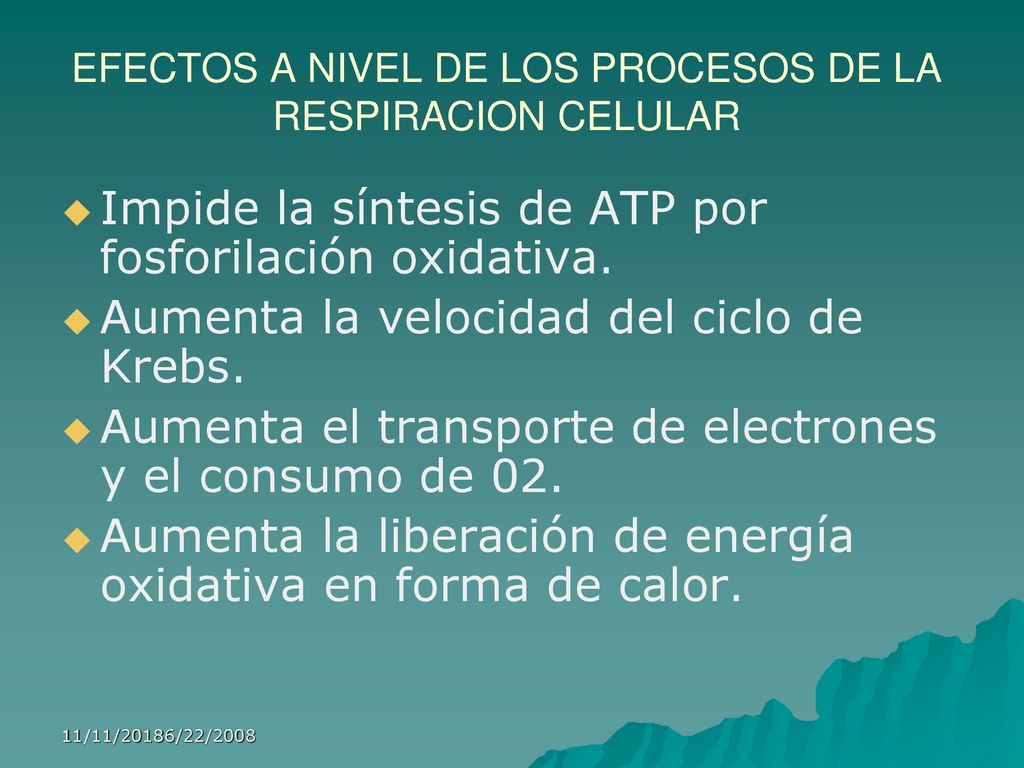 EFECTOS A NIVEL DE LOS PROCESOS DE LA RESPIRACION CELULAR