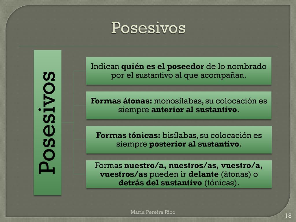 Posesivos Posesivos. Indican quién es el poseedor de lo nombrado por el sustantivo al que acompañan.