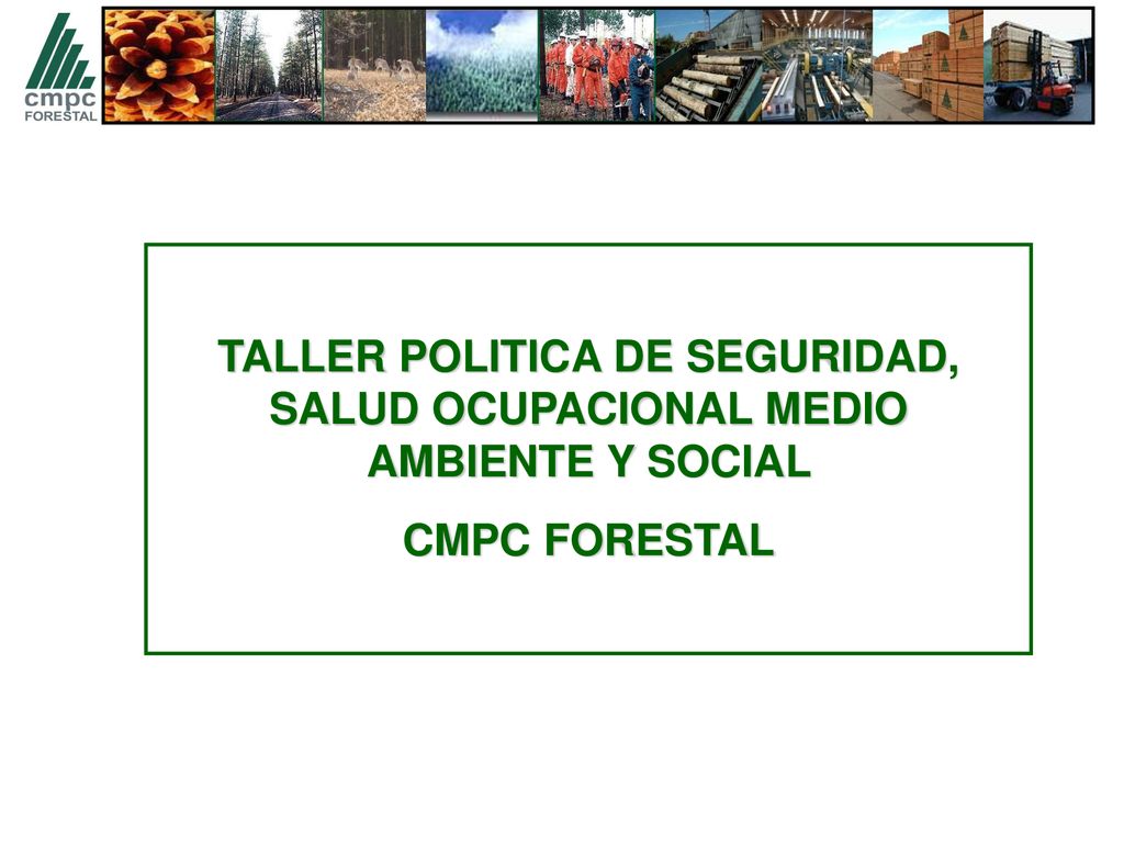 TALLER POLITICA DE SEGURIDAD, SALUD OCUPACIONAL MEDIO AMBIENTE Y SOCIAL