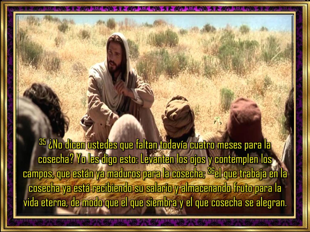 35 ¿No dicen ustedes que faltan todavía cuatro meses para la cosecha
