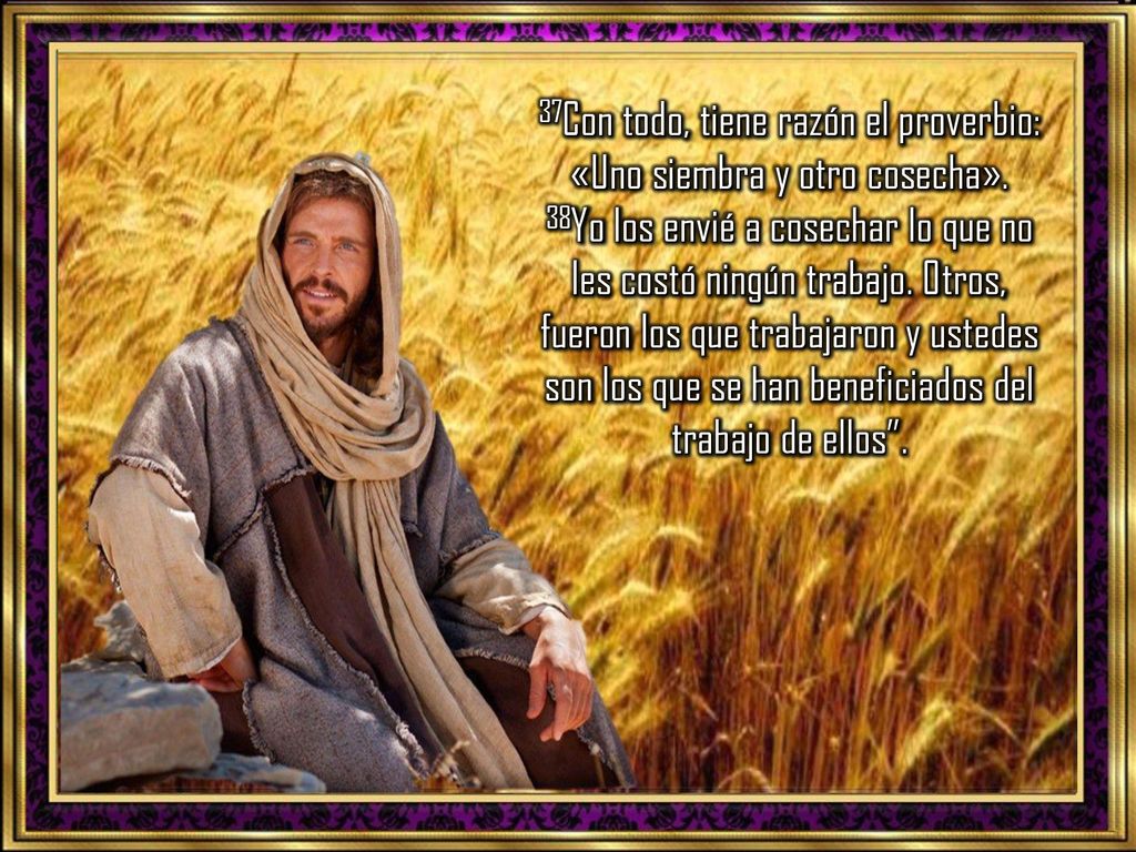 37Con todo, tiene razón el proverbio: «Uno siembra y otro cosecha»