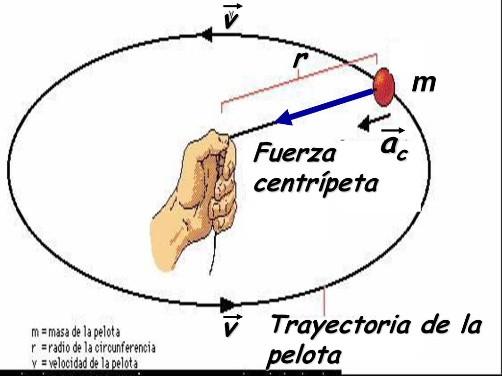 v r m ac Fuerza centrípeta v Trayectoria de la pelota