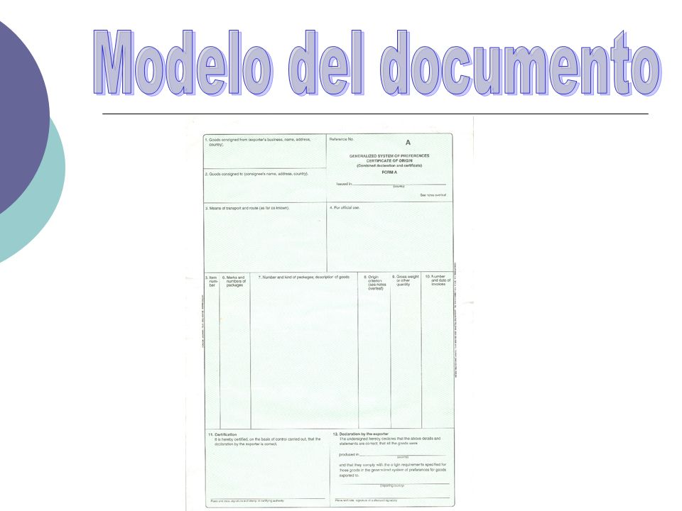 Modelo del documento