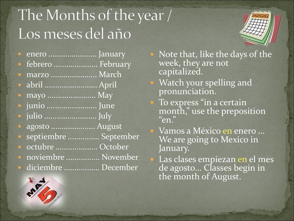 The Months of the year / Los meses del año