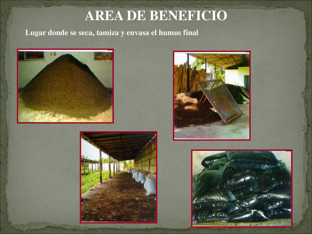 AREA DE BENEFICIO Lugar donde se seca, tamiza y envasa el humus final