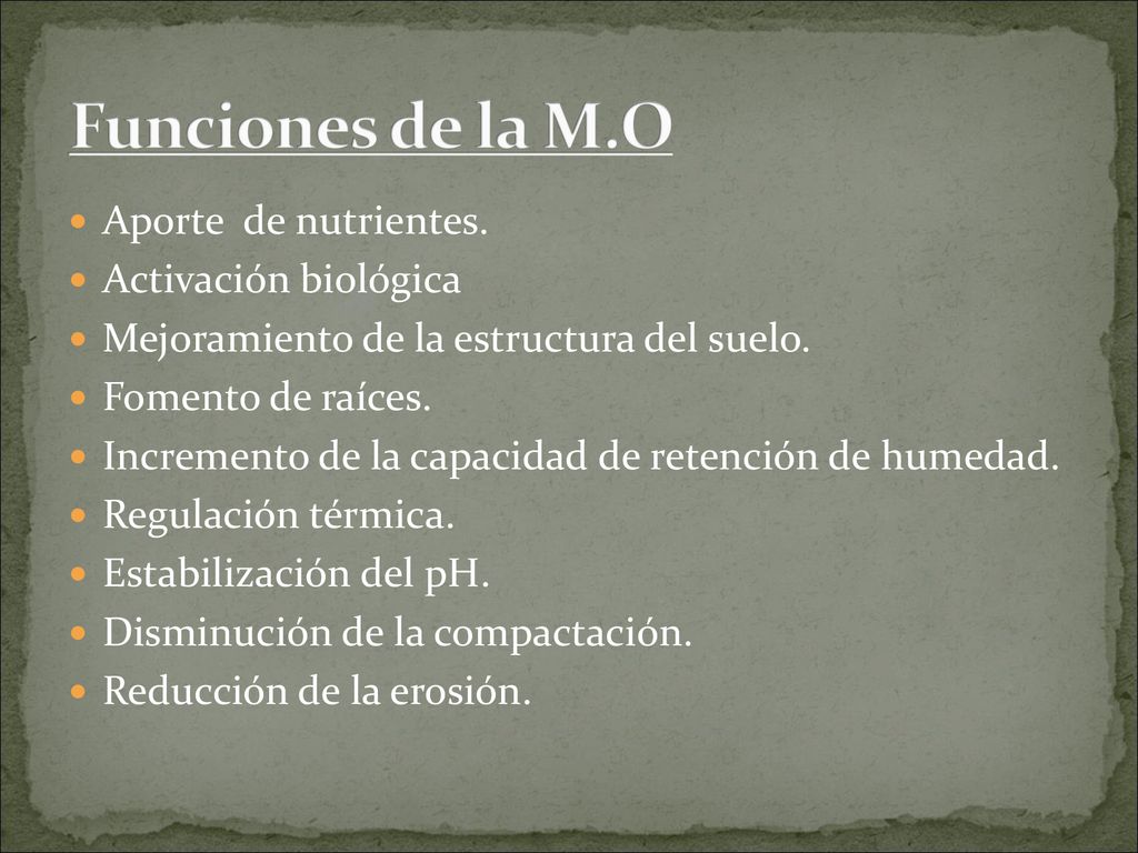 Funciones de la M.O Aporte de nutrientes. Activación biológica