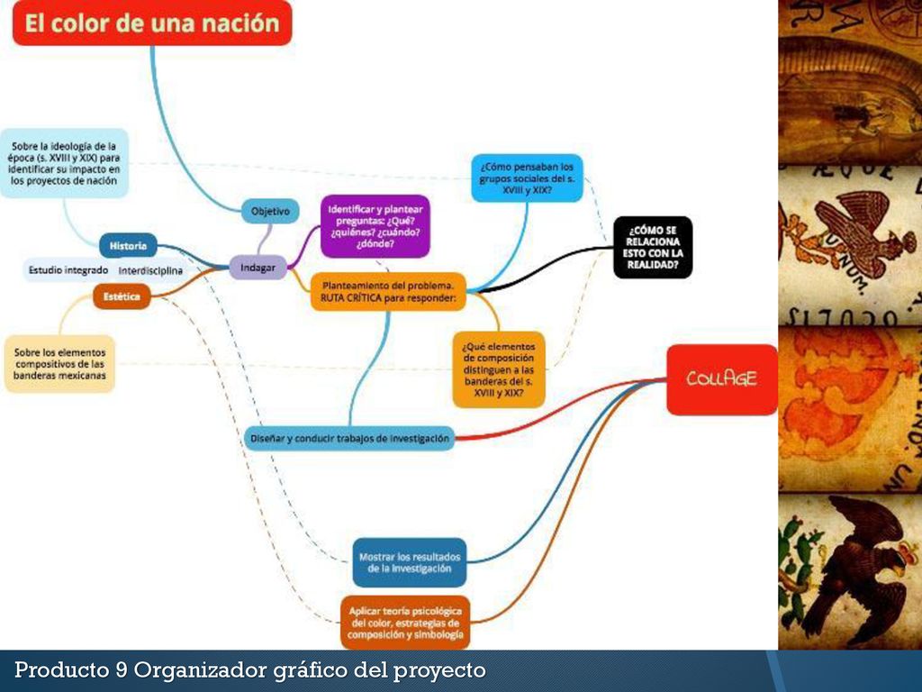 Producto 9 Organizador gráfico del proyecto
