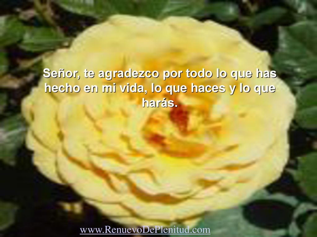 Señor, te agradezco por todo lo que has hecho en mi vida, lo que haces y lo que harás.