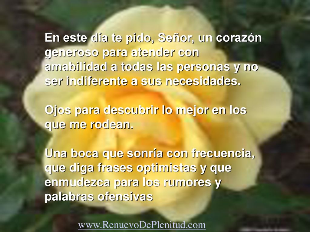 Ojos para descubrir lo mejor en los que me rodean.