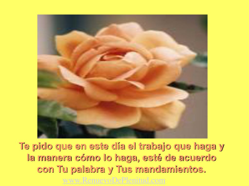 Te pido que en este día el trabajo que haga y la manera cómo lo haga, esté de acuerdo con Tu palabra y Tus mandamientos.