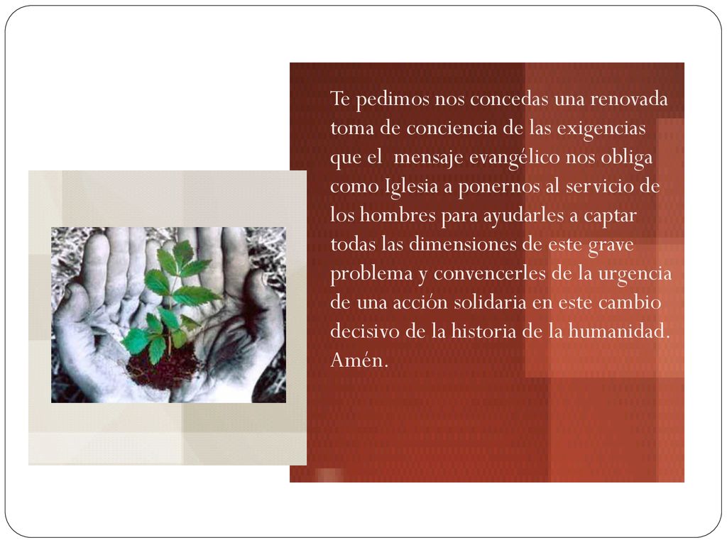 Te pedimos nos concedas una renovada toma de conciencia de las exigencias que el mensaje evangélico nos obliga como Iglesia a ponernos al servicio de los hombres para ayudarles a captar todas las dimensiones de este grave problema y convencerles de la urgencia de una acción solidaria en este cambio decisivo de la historia de la humanidad.