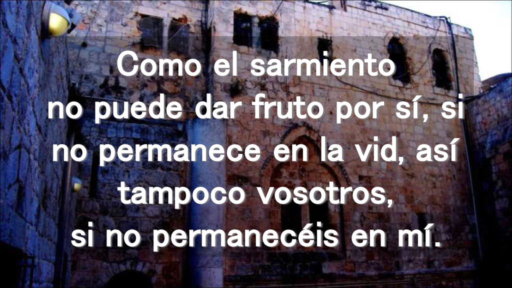 Como el sarmiento no puede dar fruto por sí, si no permanece en la vid, así tampoco vosotros, si no permanecéis en mí.