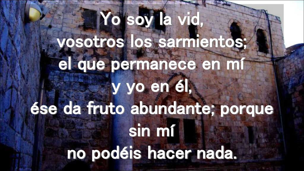 Yo soy la vid, vosotros los sarmientos; el que permanece en mí y yo en él, ése da fruto abundante; porque sin mí no podéis hacer nada.