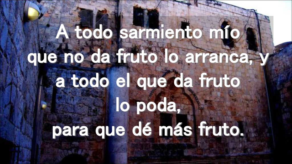 A todo sarmiento mío que no da fruto lo arranca, y a todo el que da fruto lo poda, para que dé más fruto.