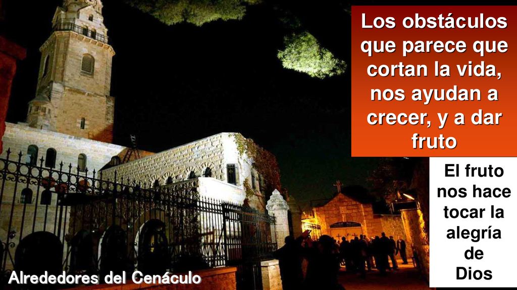 El fruto nos hace tocar la alegría Alrededores del Cenáculo