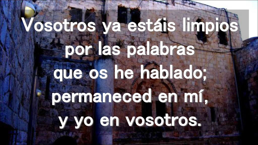 Vosotros ya estáis limpios por las palabras que os he hablado; permaneced en mí, y yo en vosotros.