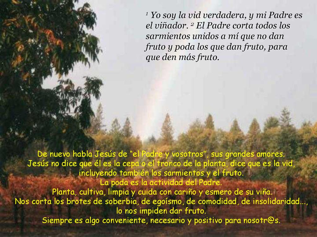 De nuevo habla Jesús de el Padre y vosotros , sus grandes amores.
