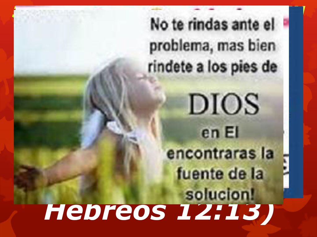 A. Pone nuestros pies sobre la peña (la peña es Jesucristo)