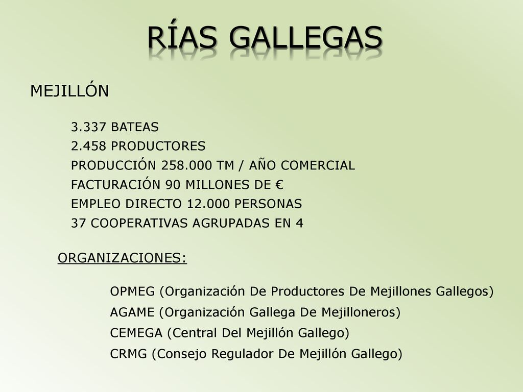 RÍAS GALLEGAS MEJILLÓN ORGANIZACIONES: BATEAS PRODUCTORES