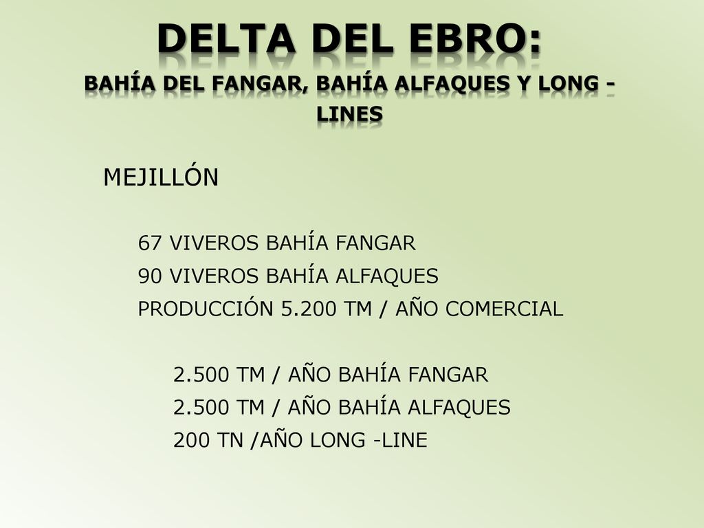 DELTA DEL EBRO: BAHÍA DEL FANGAR, BAHÍA ALFAQUES Y LONG - LINES