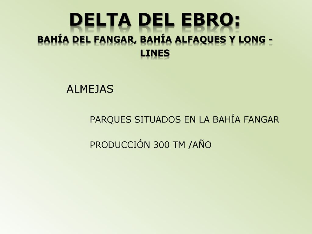 DELTA DEL EBRO: BAHÍA DEL FANGAR, BAHÍA ALFAQUES Y LONG - LINES
