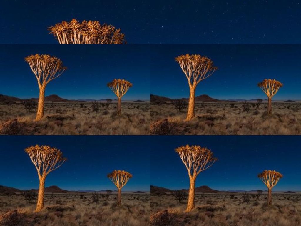 El cielo inspirador. En el desierto no hace falta la luz de luna para crear ambiente: el brillo de las estrellas es más que suficiente.