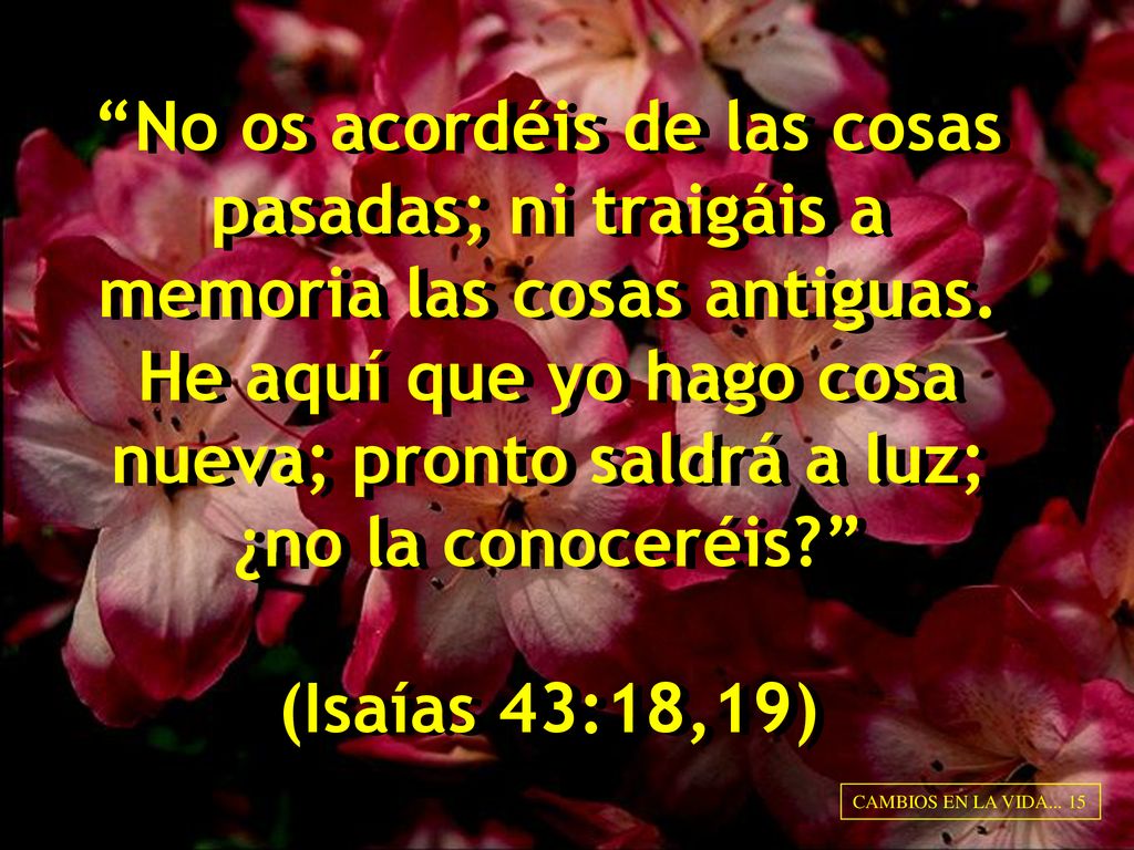 No os acordéis de las cosas pasadas; ni traigáis a memoria las cosas antiguas. He aquí que yo hago cosa nueva; pronto saldrá a luz; ¿no la conoceréis (Isaías 43:18,19)