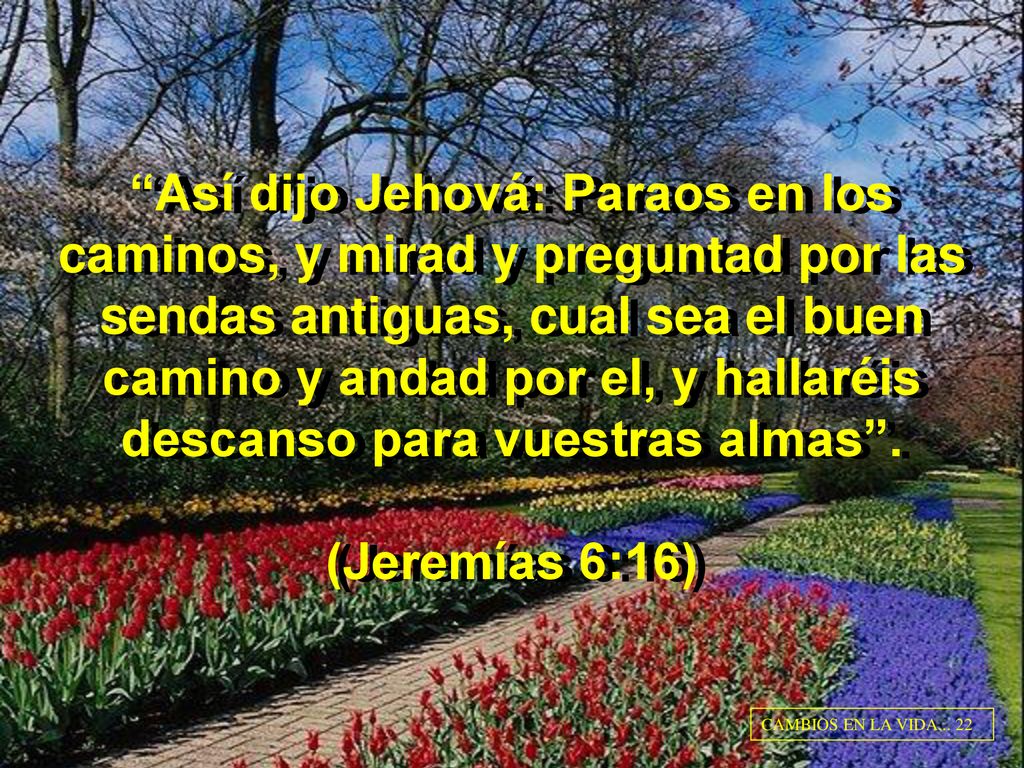 Así dijo Jehová: Paraos en los caminos, y mirad y preguntad por las sendas antiguas, cual sea el buen camino y andad por el, y hallaréis descanso para vuestras almas . (Jeremías 6:16)