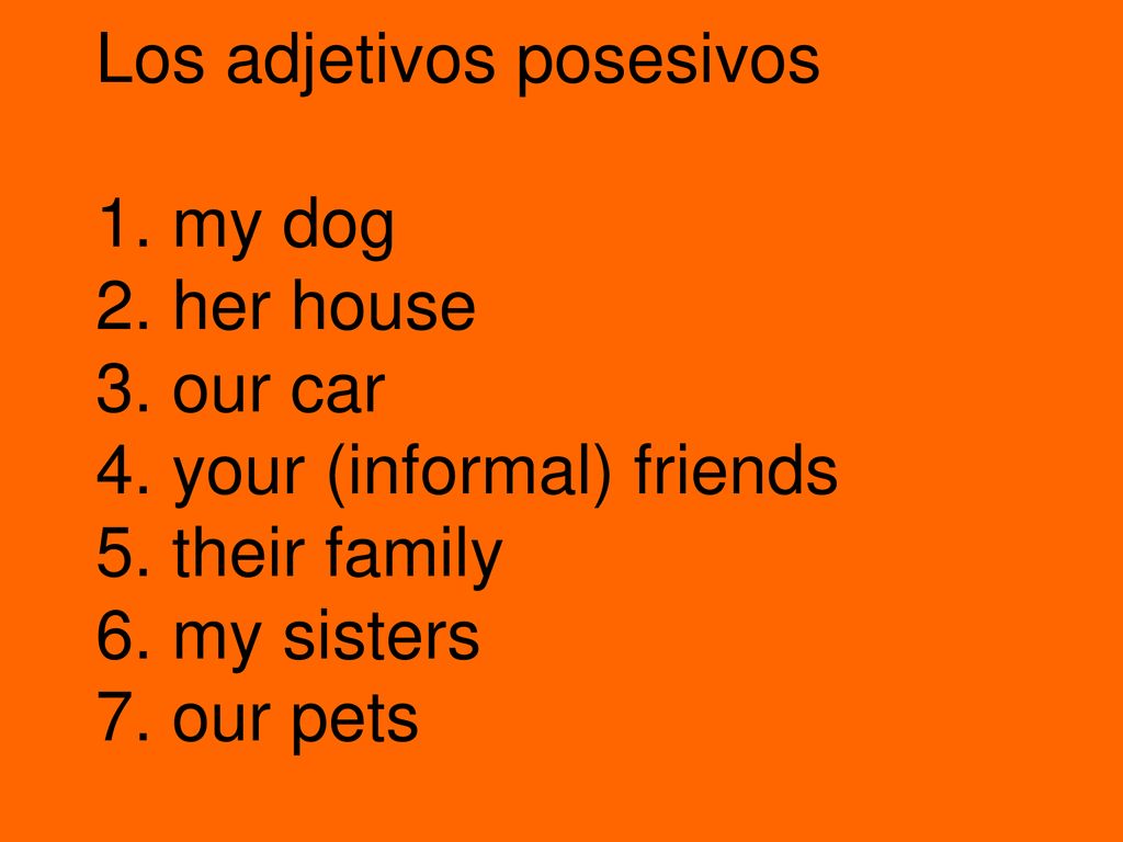 Los adjetivos posesivos 1. my dog 2. her house 3. our car 4