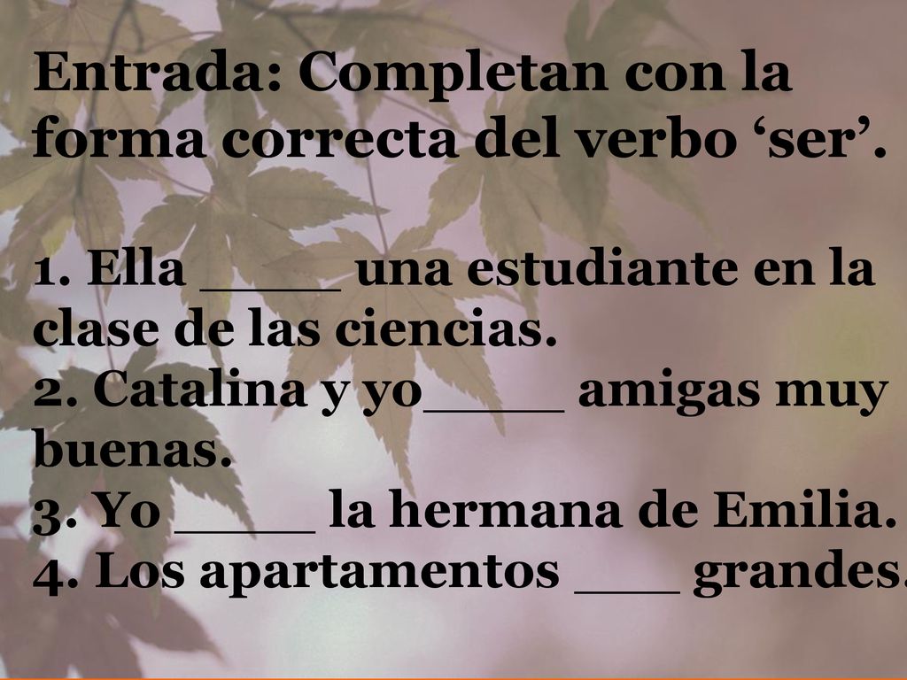 Entrada: Completan con la forma correcta del verbo ‘ser’. 1