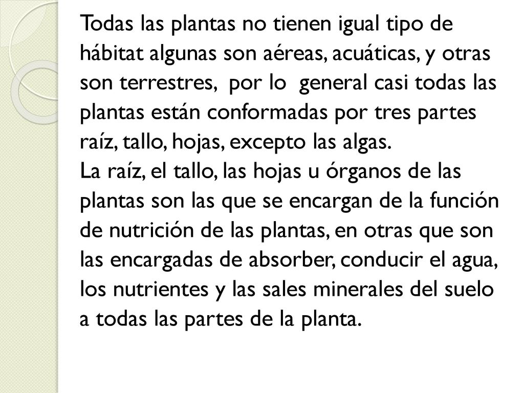 Todas las plantas no tienen igual tipo de