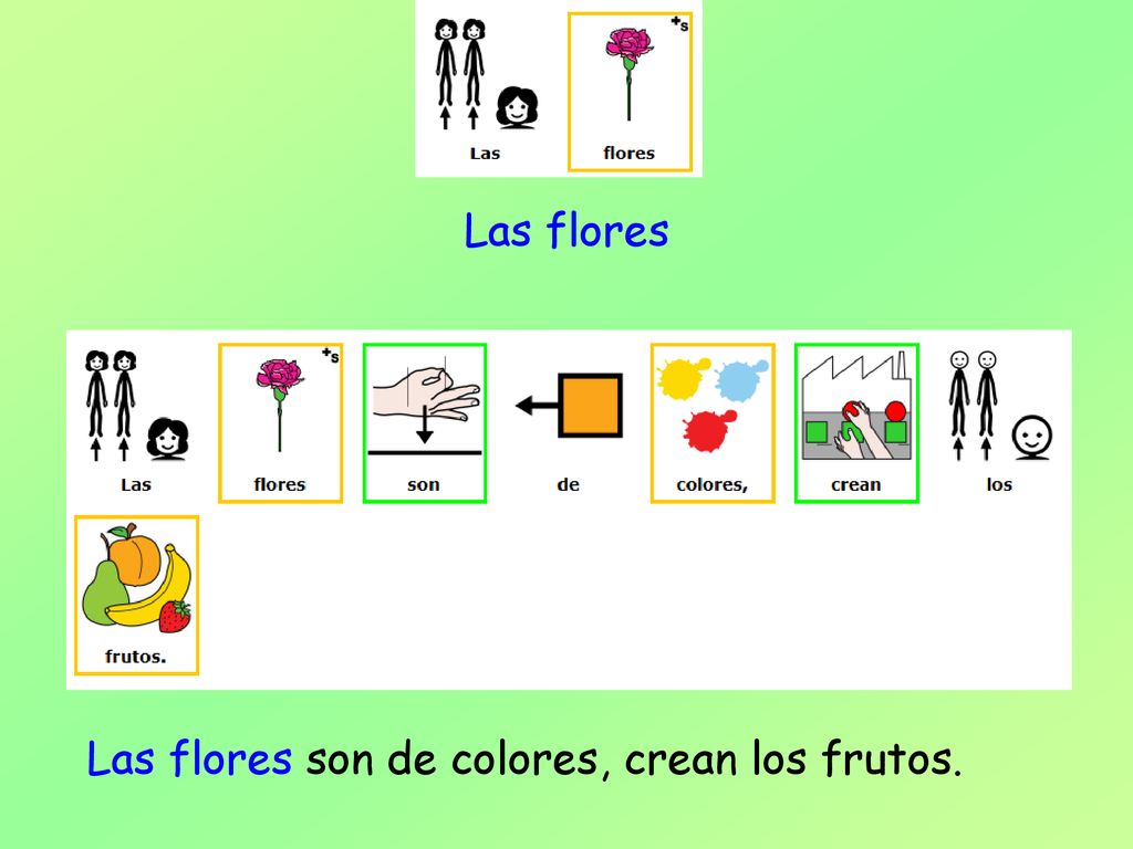 Las flores Las flores son de colores, crean los frutos.