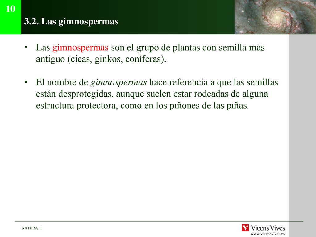 Las gimnospermas. Las gimnospermas son el grupo de plantas con semilla más antiguo (cicas, ginkos, coníferas).