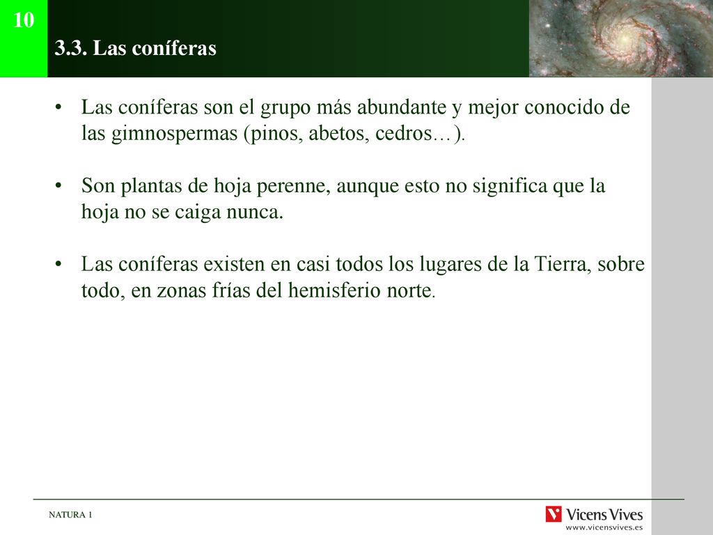 Las coníferas. Las coníferas son el grupo más abundante y mejor conocido de las gimnospermas (pinos, abetos, cedros…).