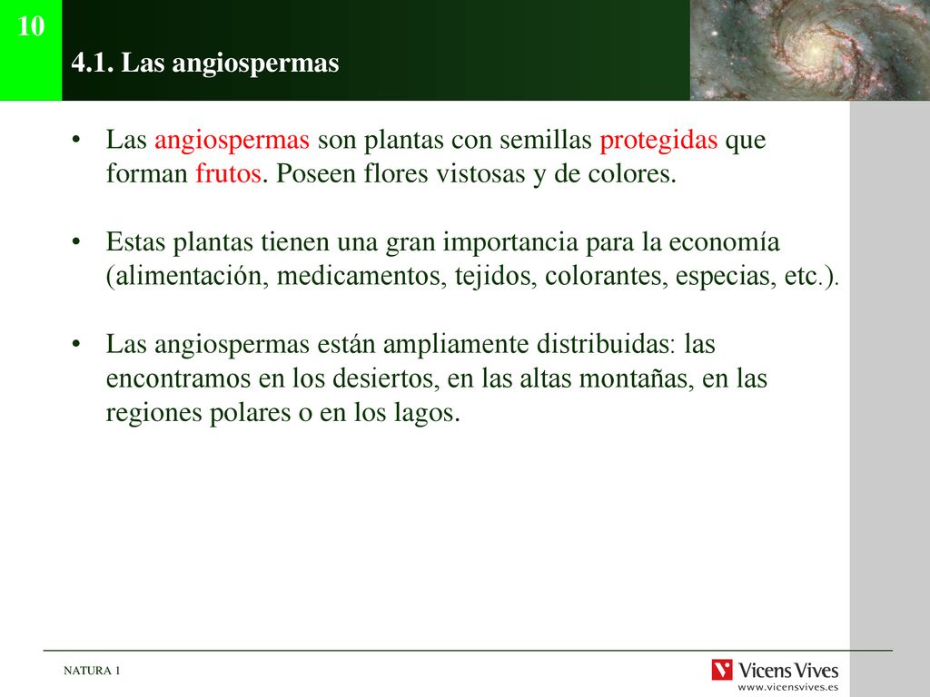 Las angiospermas. Las angiospermas son plantas con semillas protegidas que forman frutos. Poseen flores vistosas y de colores.
