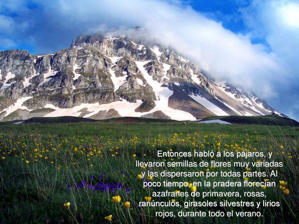 Entonces habló a los pájaros, y llevaron semillas de flores muy variadas y las dispersaron por todas partes.