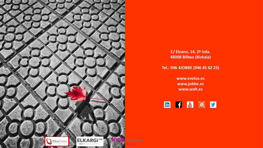 C/ Elcano, 14, 2º Izda Bilbao (Bizkaia) Tel.: 946 4JOBBE ( )