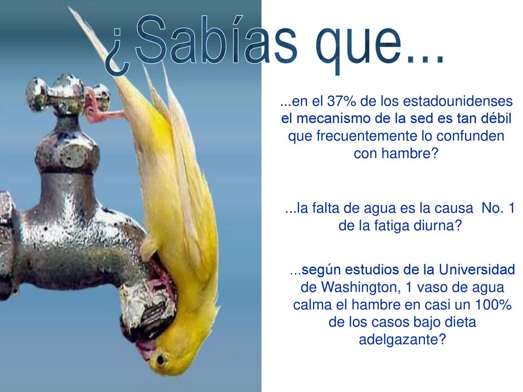 ...la falta de agua es la causa No. 1 de la fatiga diurna