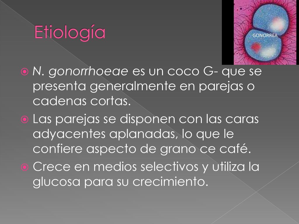 Etiología N. gonorrhoeae es un coco G- que se presenta generalmente en parejas o cadenas cortas.