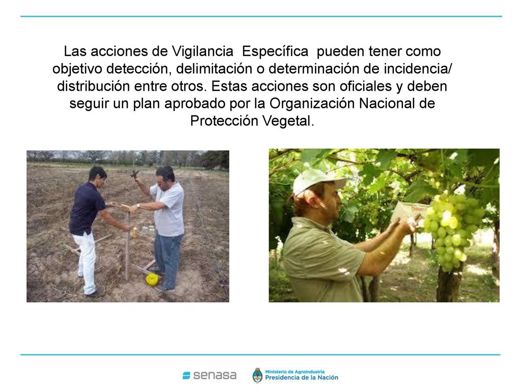 Las acciones de Vigilancia Específica pueden tener como objetivo detección, delimitación o determinación de incidencia/ distribución entre otros.