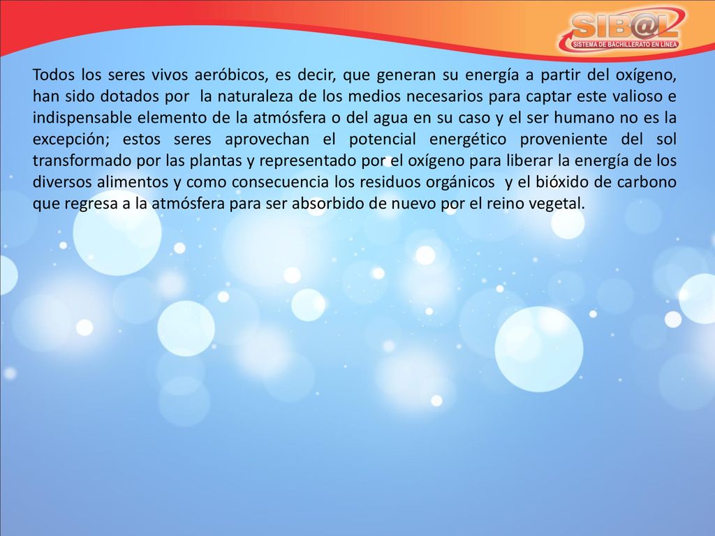 Todos los seres vivos aeróbicos, es decir, que generan su energía a partir del oxígeno, han sido dotados por la naturaleza de los medios necesarios para captar este valioso e indispensable elemento de la atmósfera o del agua en su caso y el ser humano no es la excepción; estos seres aprovechan el potencial energético proveniente del sol transformado por las plantas y representado por el oxígeno para liberar la energía de los diversos alimentos y como consecuencia los residuos orgánicos y el bióxido de carbono que regresa a la atmósfera para ser absorbido de nuevo por el reino vegetal.