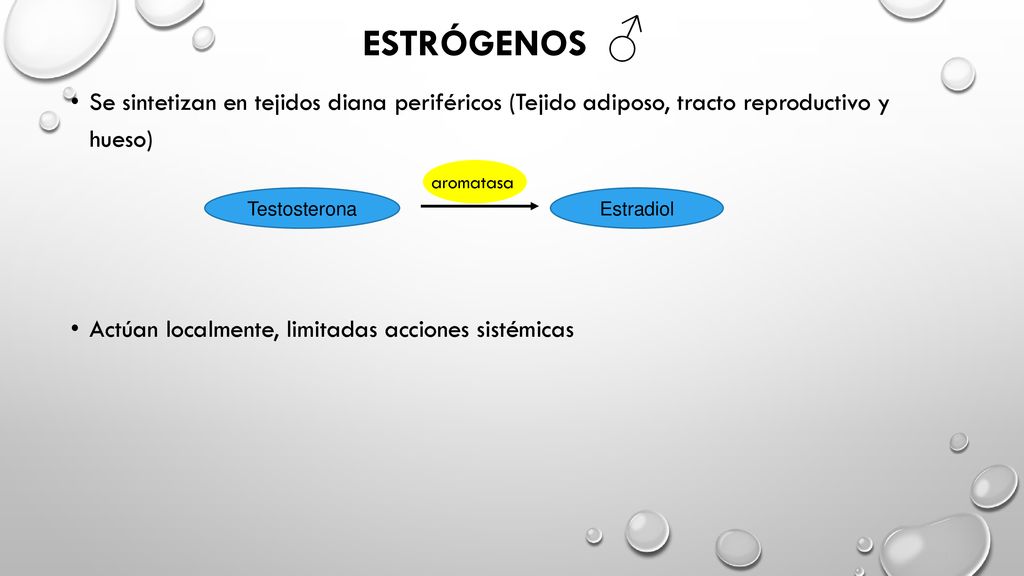 ESTRÓGENOS ♂ Se sintetizan en tejidos diana periféricos (Tejido adiposo, tracto reproductivo y hueso)