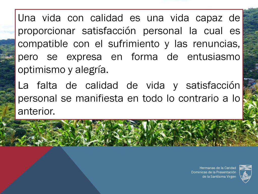 Una vida con calidad es una vida capaz de proporcionar satisfacción personal la cual es compatible con el sufrimiento y las renuncias, pero se expresa en forma de entusiasmo optimismo y alegría. La falta de calidad de vida y satisfacción personal se manifiesta en todo lo contrario a lo anterior.