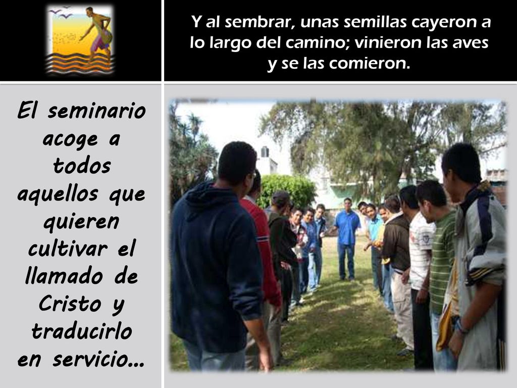 Y al sembrar, unas semillas cayeron a lo largo del camino; vinieron las aves y se las comieron.