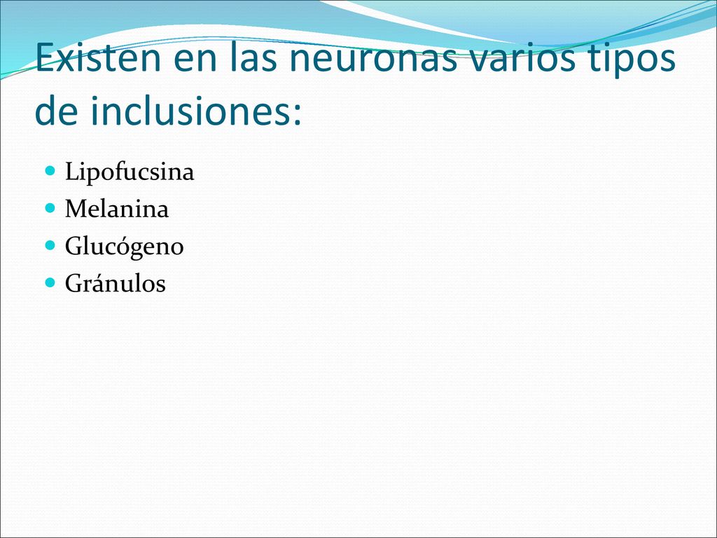 Existen en las neuronas varios tipos de inclusiones: