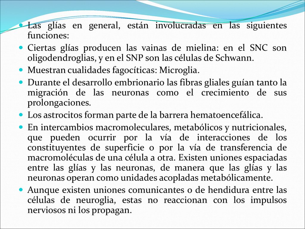 Las glías en general, están involucradas en las siguientes funciones: