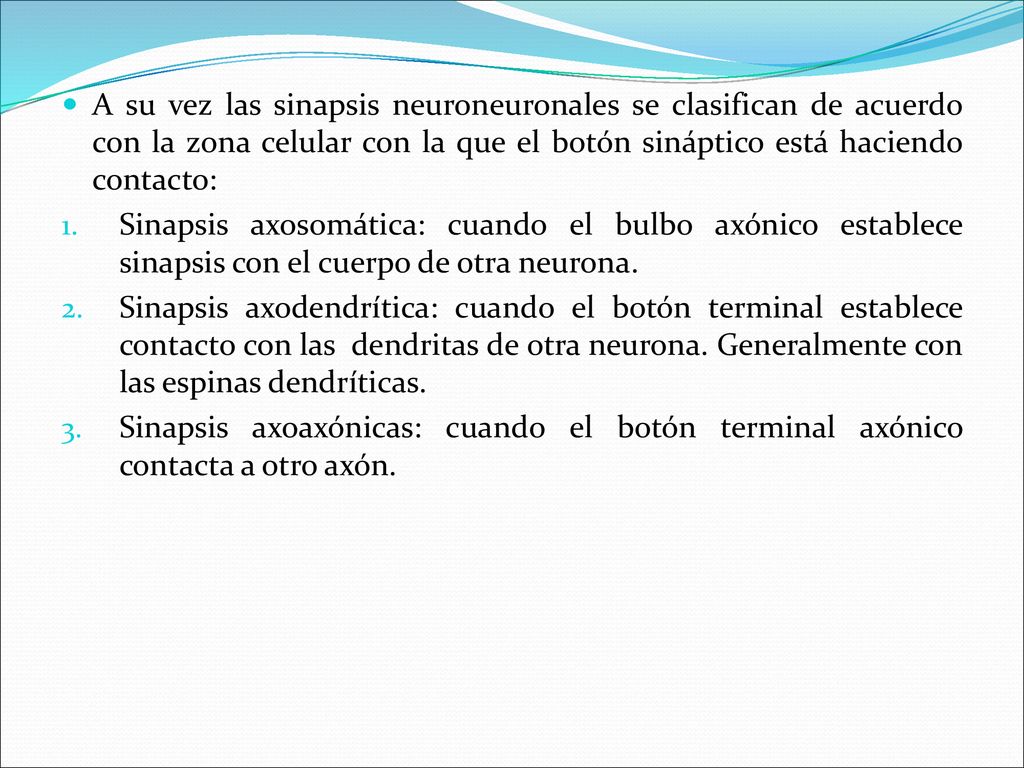 A su vez las sinapsis neuroneuronales se clasifican de acuerdo con la zona celular con la que el botón sináptico está haciendo contacto: