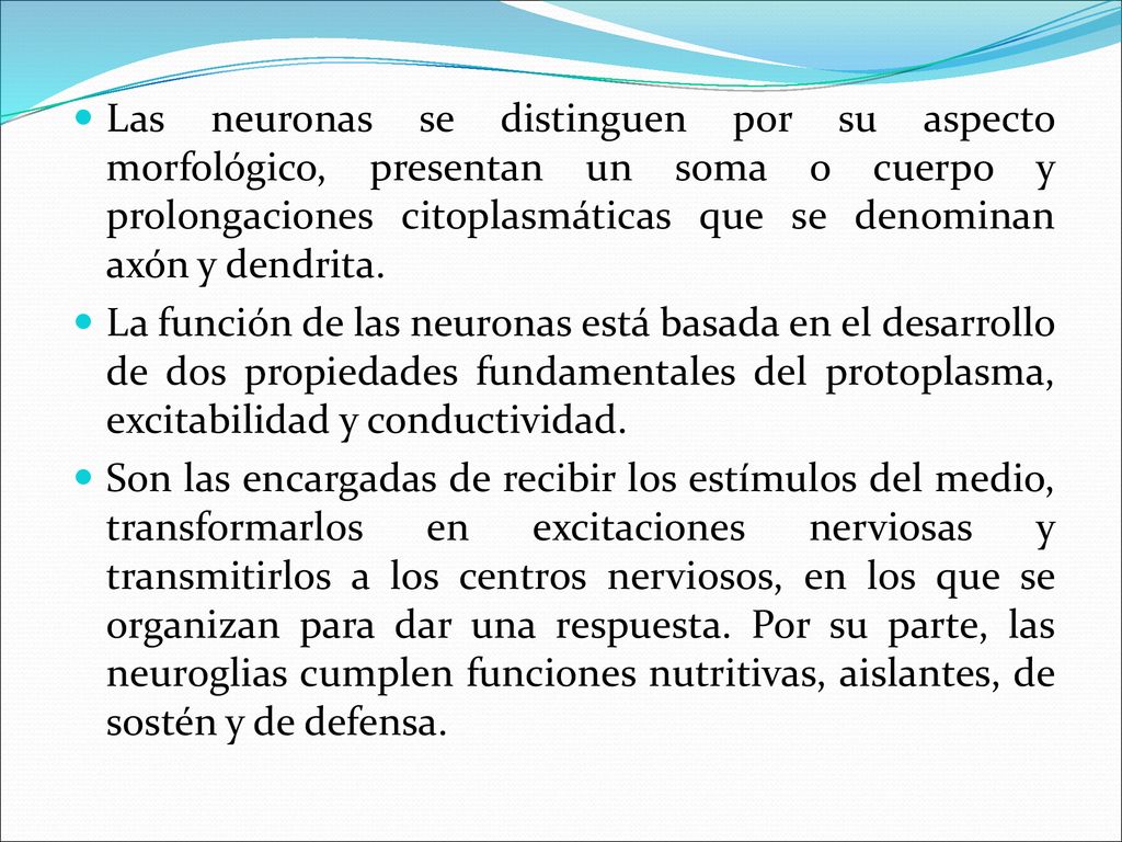 Las neuronas se distinguen por su aspecto morfológico, presentan un soma o cuerpo y prolongaciones citoplasmáticas que se denominan axón y dendrita.