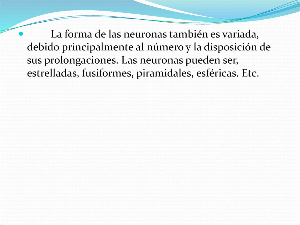 La forma de las neuronas también es variada, debido principalmente al número y la disposición de sus prolongaciones.